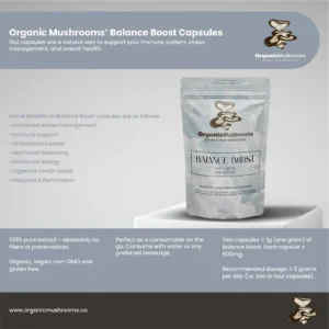 Balance Boost Blend - Image 3