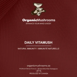 Daily VitaMush Tincture - Image 5