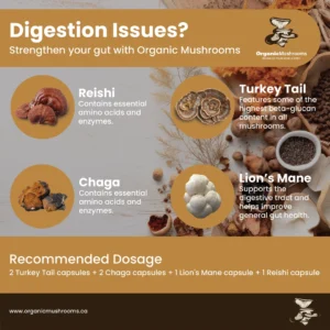Digestion Aid Wellness Bundle - Image 3
