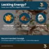 Energy Boost Wellness Bundle