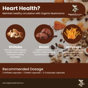 Heart Health Wellness Bundle