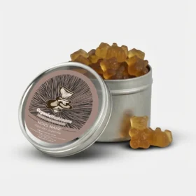 Alternative view of Lion’s Mane Gummies