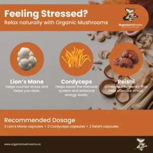 Relaxation Wellness Bundle
