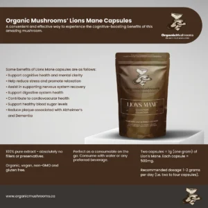 Lion’s Mane Capsules - Image 3