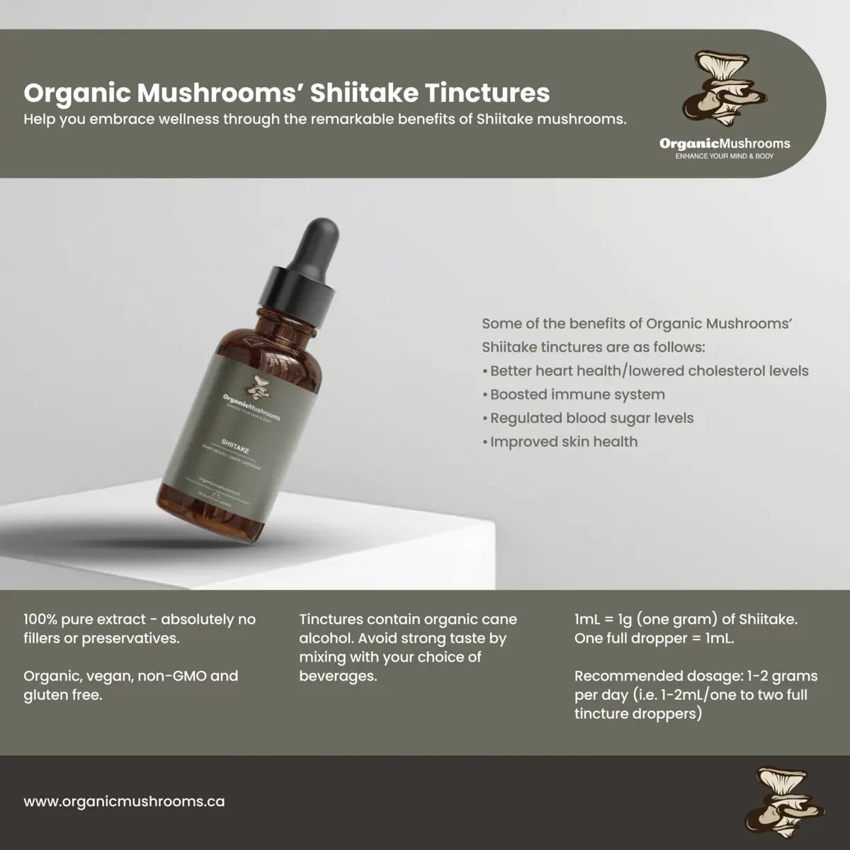 Shiitake Tincture - Image 4