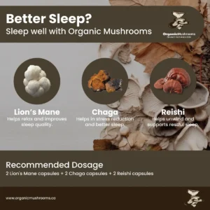 Sleep Aid Wellness Bundle - Image 5